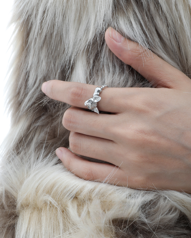 Peek Into The Cat Ring02