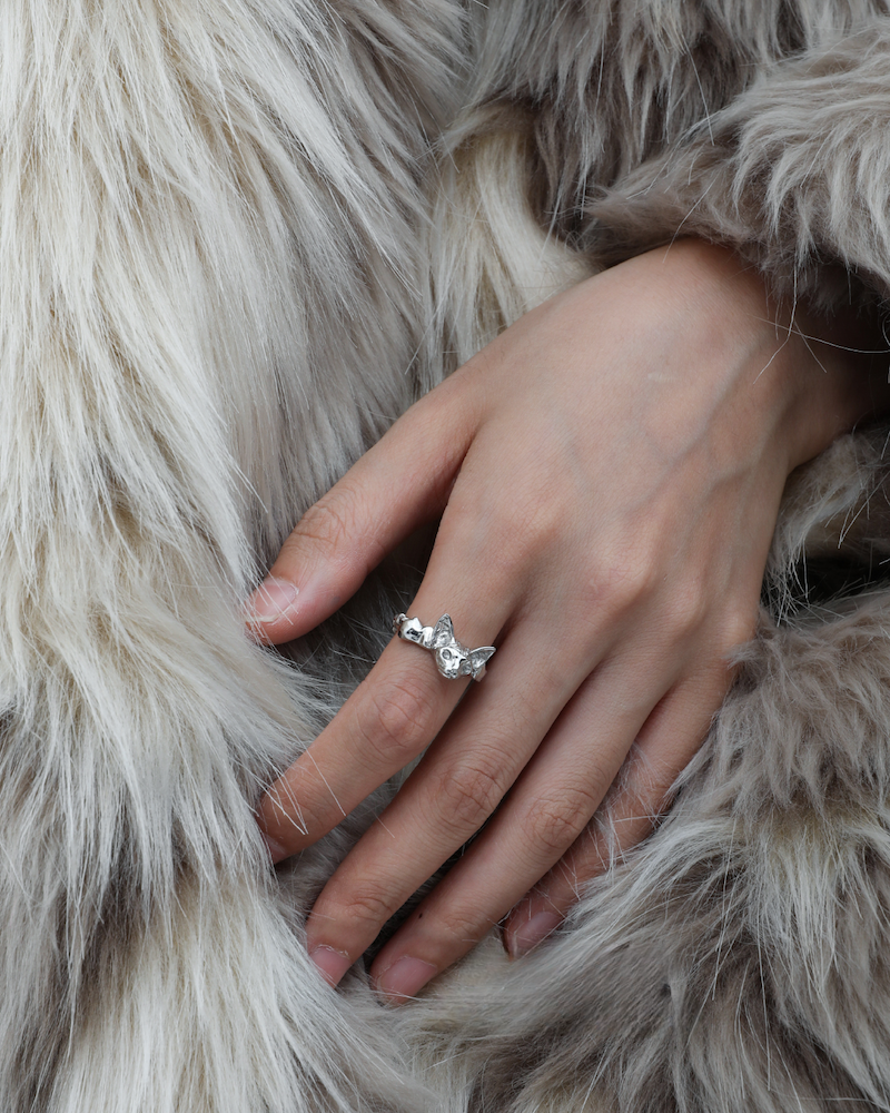 Peek Into The Cat Ring02