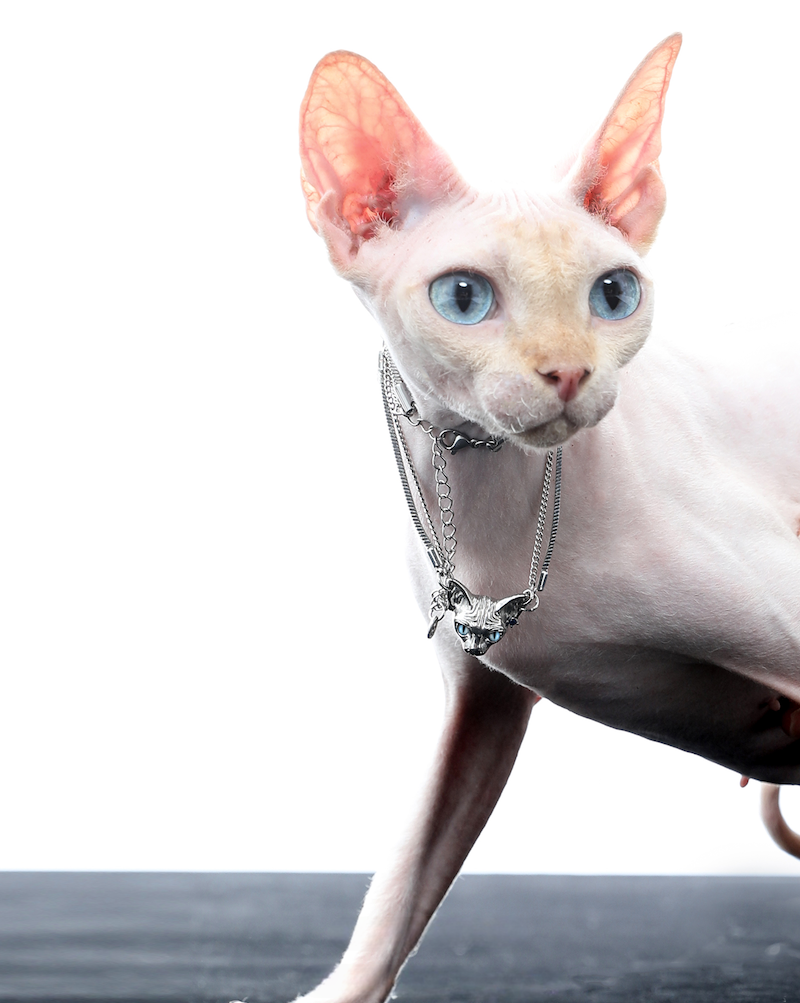 Peek Into The Cat Necklace01